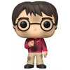 Funko POP! Harry Potter w/ the stone Harry Potter #132